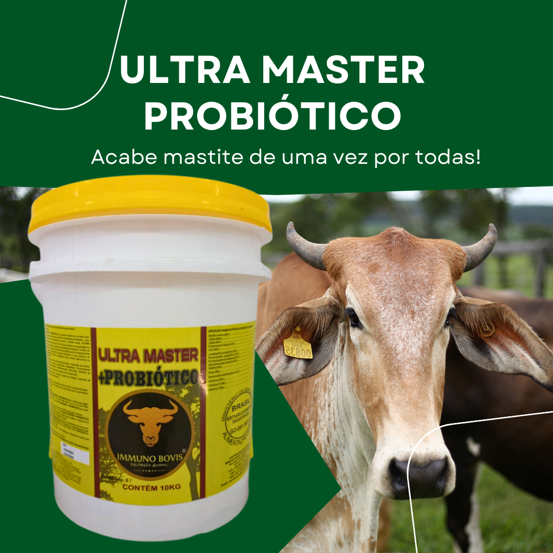 Ultra Master Probiótico